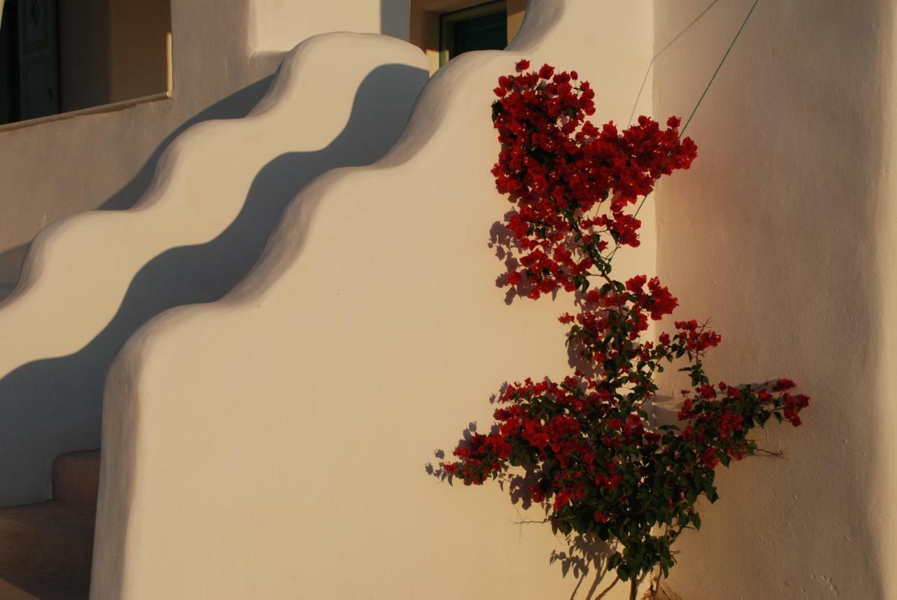Villa Kampos Naousa-Marpisa Ambelas Luaran gambar